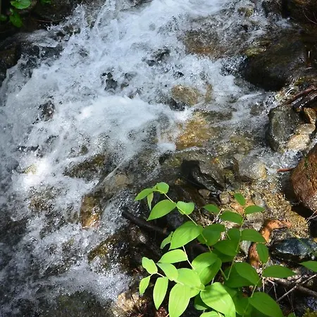 Himmlisch Urlauben St. Nikolai 公寓 Sankt Nikolai im Sölktal