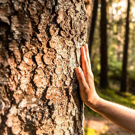 Himmlisch Urlauben St. Nikolai *