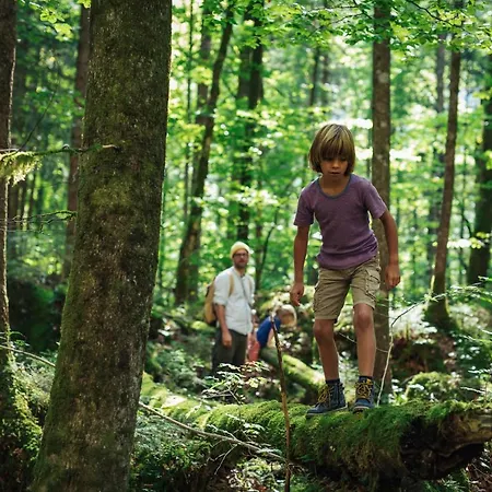 Himmlisch Urlauben St. Nikolai Apartment *