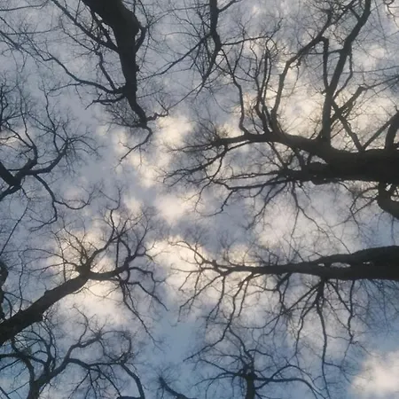 Himmlisch Urlauben St. Nikolai Apartment Sankt Nikolai im Sölktal