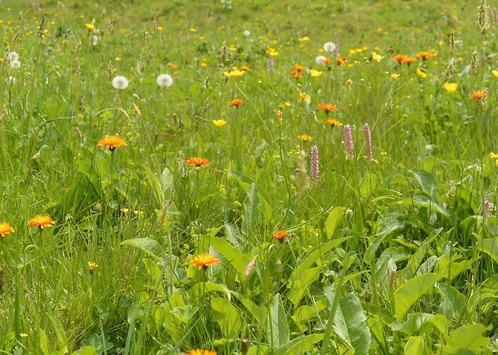 Himmlisch Urlauben St. Nikolai Sankt Nikolai im Solktal
