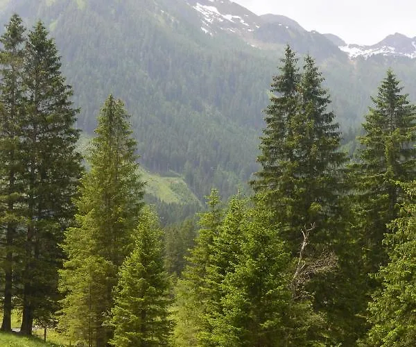 Апартаменты Himmlisch Urlauben St. Nikolai *