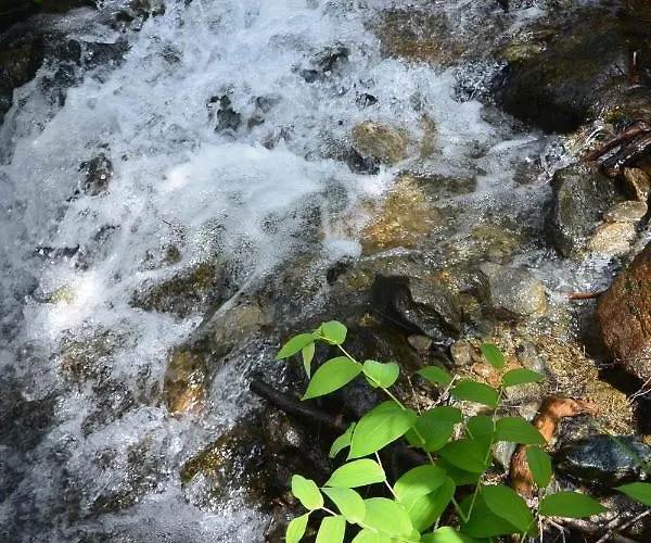 Himmlisch Urlauben St. Nikolai Апартаменты Sankt Nikolai im Solktal