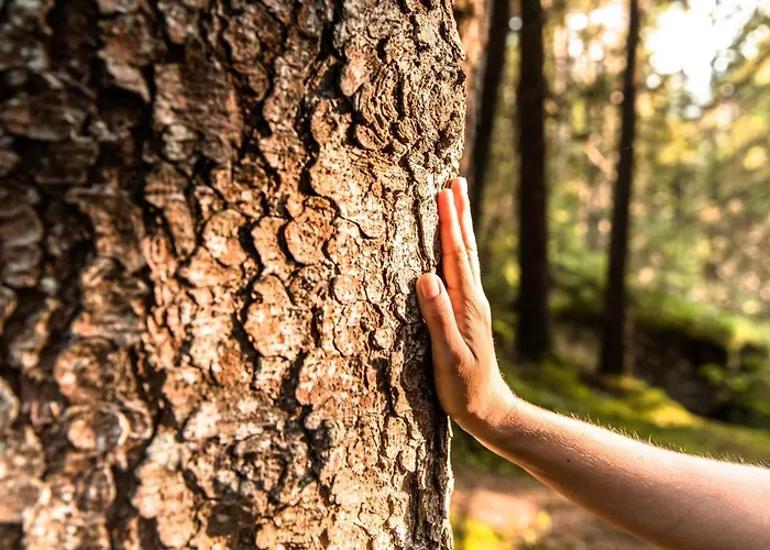 Himmlisch Urlauben St. Nikolai *