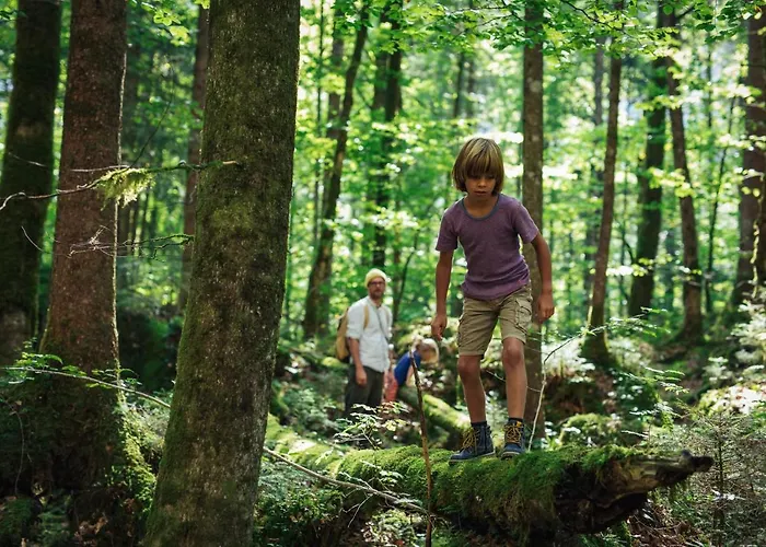 Himmlisch Urlauben St. Nikolai Апартаменты *