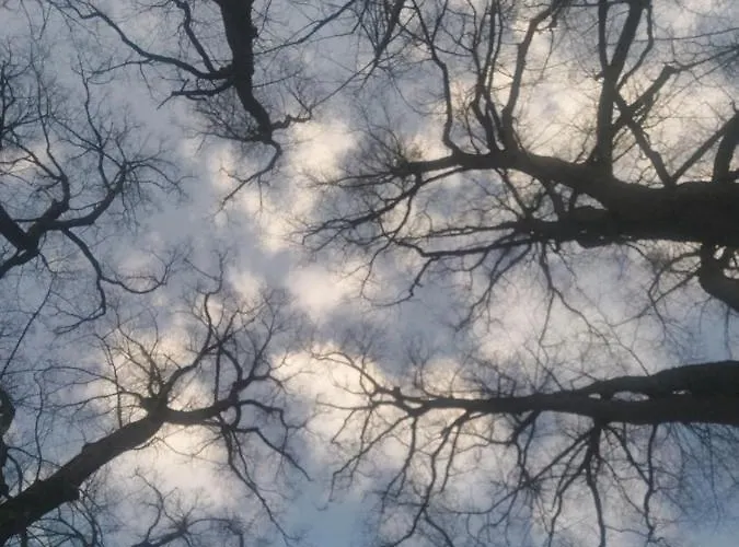 Himmlisch Urlauben St. Nikolai Апартаменты Sankt Nikolai im Solktal